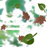 Windy in the morning and foggy starting in the evening.